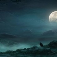 Nightmoon - steam id 76561197968158802