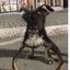 OЛEГ ГAЗOН ШOКOЛAДЬE