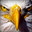 EagleEye777