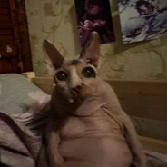 mokrymaciek's avatar