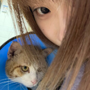 岂敢对云朵皇帝不敬