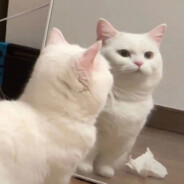 大嘴急了吞手雷