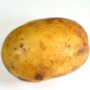 The British potato