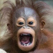 HaNnO - steam id 76561197960308612