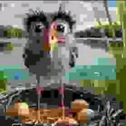 BEST CHEAT FECURITY IN BIO