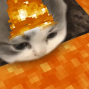 MeowED - steam id 76561198881492678