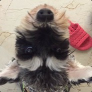 至少要见面上万次