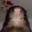 Rat Man
