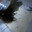 󠁳 Steam avatar