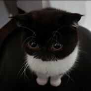 monty