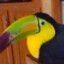 Pomp