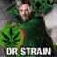 Dr Strain