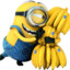 bea_gois444
