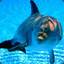 Dolphi&#039;S GOD