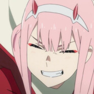 AAA猪饲料批发赵总