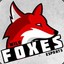WILD FOXES | 4vorit
