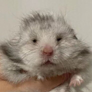 卄卂乚凵长 卄刀从