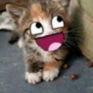 会飞的苹果汁33