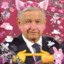 Amlo Aesthetic