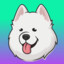 $SAMOYEDcoin