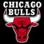 Bulls