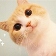 感谢一直在的你们