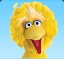 big bird