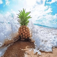 Minecraft Free Download 2016