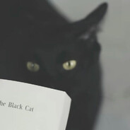 black  Cat