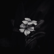 Ya_shyzyk - steam id 76561198884966383