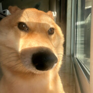 狗熊岭第一萝卜头