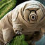 WaterBear