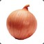 Onion