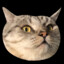 CxJJ