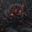 belrose