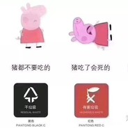 阿鲁巴dd拉布拉多