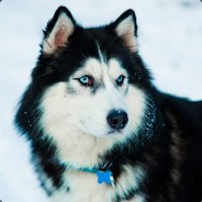 STEEL avatar