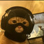 Terrorist Kittens