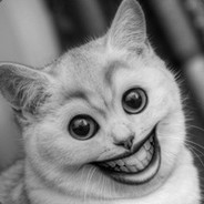 KOT3 avatar