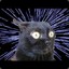 CatDemo