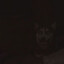 Smile.jpg