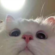 迪斯尼在逃保安