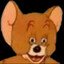 Tom Jerry