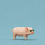 hamlover avatar