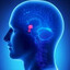 Pituitary Gland