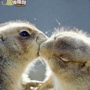 两个跳蛋之间的故事