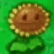 Nein Bobo der Rusty