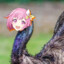 EMU Otori