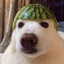 C E L E P