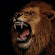 ≈𝓓̇𝓪̨𝓶𝓴́𝓪¿